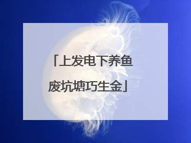 上发电下养鱼 废坑塘巧生金