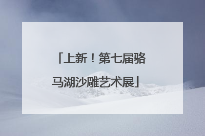 上新！第七届骆马湖沙雕艺术展