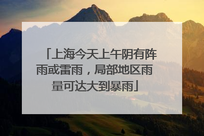 上海今天上午阴有阵雨或雷雨，局部地区雨量可达大到暴雨