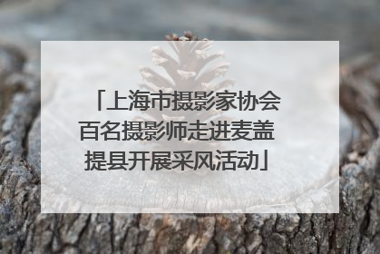 上海市摄影家协会百名摄影师走进麦盖提县开展采风活动