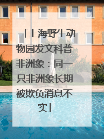 上海野生动物园发文科普非洲象：同一只非洲象长期被欺负消息不实