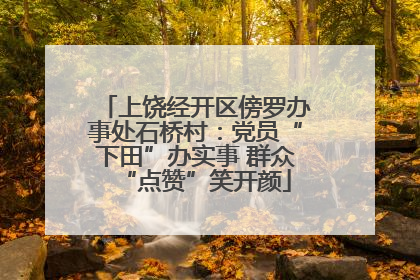 上饶经开区傍罗办事处石桥村：党员“下田”办实事 群众“点赞”笑开颜