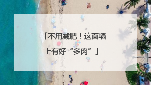 不用减肥！这面墙上有好“多肉”