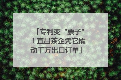 专利变“票子”！宜昌茶企凭它撬动千万出口订单