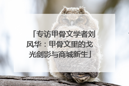 专访甲骨文学者刘风华：甲骨文里的戈光剑影与商城新生