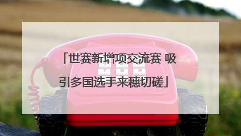 世赛新增项交流赛 吸引多国选手来穗切磋