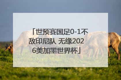 世预赛国足0-1不敌印尼队 无缘2026美加墨世界杯