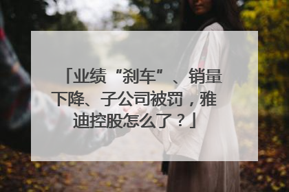 业绩“刹车”、销量下降、子公司被罚，雅迪控股怎么了？