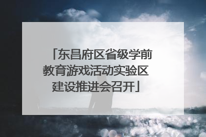 东昌府区省级学前教育游戏活动实验区建设推进会召开