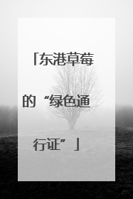 东港草莓的“绿色通行证”