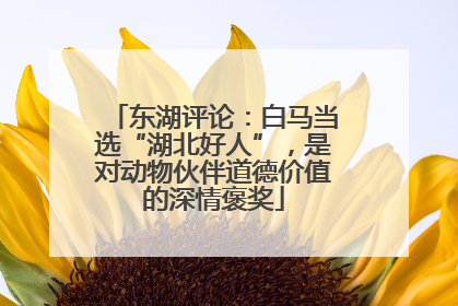 东湖评论：白马当选“湖北好人”，是对动物伙伴道德价值的深情褒奖