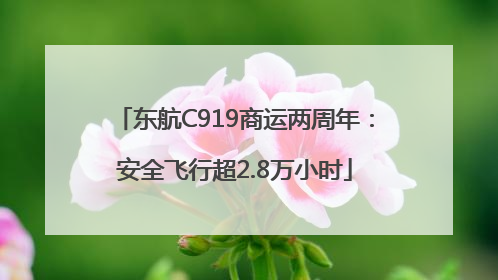 东航C919商运两周年：安全飞行超2.8万小时