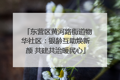 东营区黄河路街道物华社区：银龄互助焕新颜 共建共治暖民心