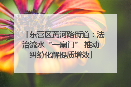 东营区黄河路街道：法治流水“一扇门” 推动纠纷化解提质增效