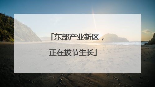 东部产业新区，正在拔节生长