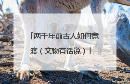 两千年前古人如何竞渡（文物有话说）