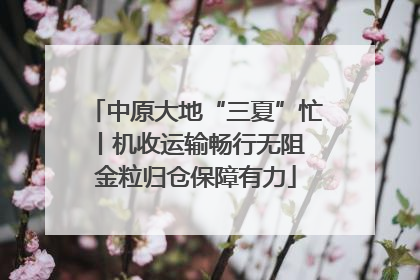 中原大地“三夏”忙丨机收运输畅行无阻 金粒归仓保障有力