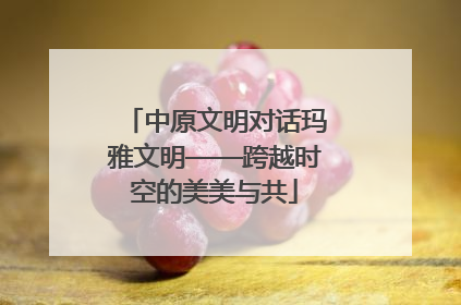 中原文明对话玛雅文明——跨越时空的美美与共