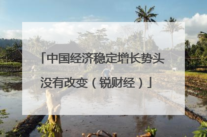中国经济稳定增长势头没有改变（锐财经）