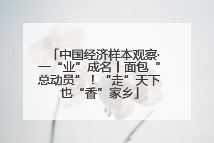 中国经济样本观察·一“业”成名丨面包“总动员”！“走”天下也“香”家乡
