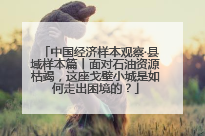 中国经济样本观察·县域样本篇丨面对石油资源枯竭，这座戈壁小城是如何走出困境的？