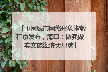 中国城市网络形象指数在京发布，海口：做强做实文旅海滨大品牌
