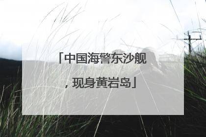 中国海警东沙舰，现身黄岩岛