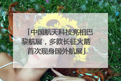 中国航天科技亮相巴黎航展，多款长征火箭首次现身国外航展
