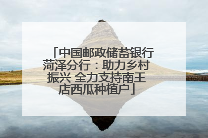 中国邮政储蓄银行菏泽分行：助力乡村振兴 全力支持南王店西瓜种植户
