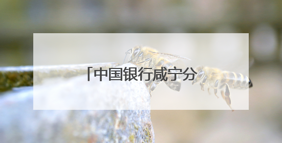 中国银行咸宁分行组织开展清廉金融文化警示教育