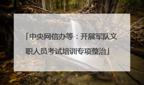 中央网信办等：开展军队文职人员考试培训专项整治