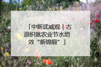 中新武威观｜古浪织就农业节水增效“新锦缎”
