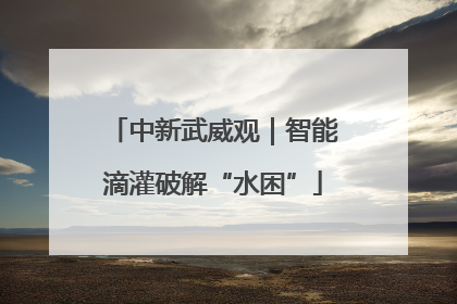 中新武威观｜智能滴灌破解“水困”