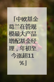 中欧基金葛兰在管规模最大产品增配基金经理，年初至今涨超11%
