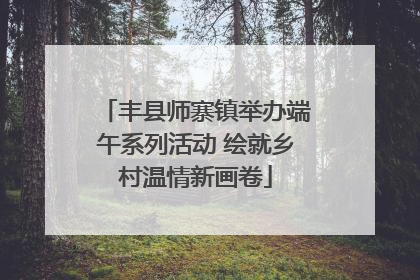 丰县师寨镇举办端午系列活动 绘就乡村温情新画卷