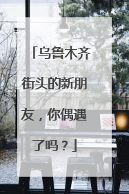 乌鲁木齐街头的新朋友，你偶遇了吗？