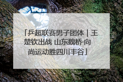 乒超联赛男子团体｜王楚钦出战 山东魏桥·向尚运动胜四川丰谷