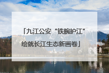 九江公安“铁腕护江”绘就长江生态新画卷