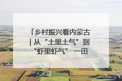 乡村振兴看内蒙古｜从“土里土气”到“虾里虾气” 一田双收模式火出圈