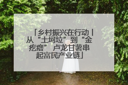 乡村振兴在行动丨从“土坷垃”到“金疙瘩” 卢龙甘薯串起富民产业链