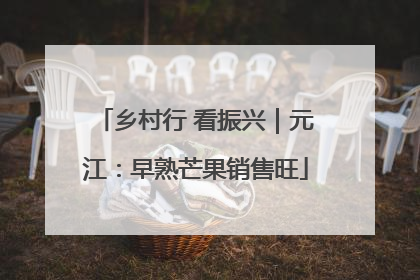 乡村行 看振兴｜元江：早熟芒果销售旺