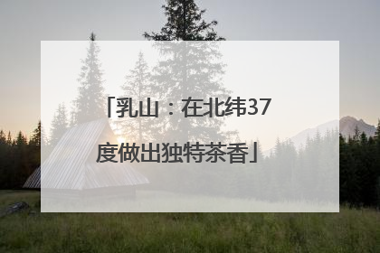 乳山：在北纬37度做出独特茶香