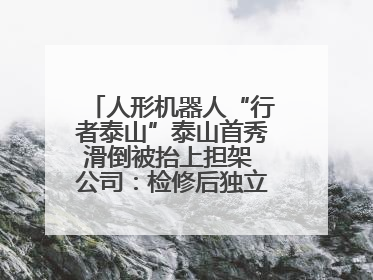 人形机器人“行者泰山”泰山首秀滑倒被抬上担架 公司：检修后独立下山 测试就是为暴露问题