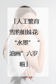 人工繁育雪豹姐妹花“水墨”“油画”六岁啦