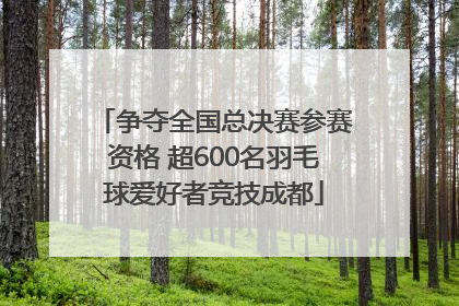 争夺全国总决赛参赛资格 超600名羽毛球爱好者竞技成都