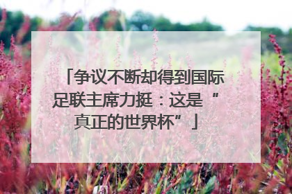 争议不断却得到国际足联主席力挺：这是“真正的世界杯”
