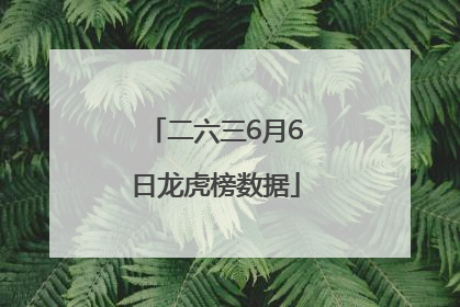 二六三6月6日龙虎榜数据