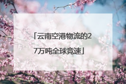 云南空港物流的27万吨全球竞速
