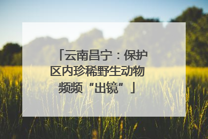 云南昌宁：保护区内珍稀野生动物频频“出镜”