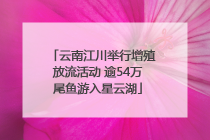 云南江川举行增殖放流活动 逾54万尾鱼游入星云湖